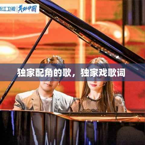 独家配角的歌,独家戏歌词
