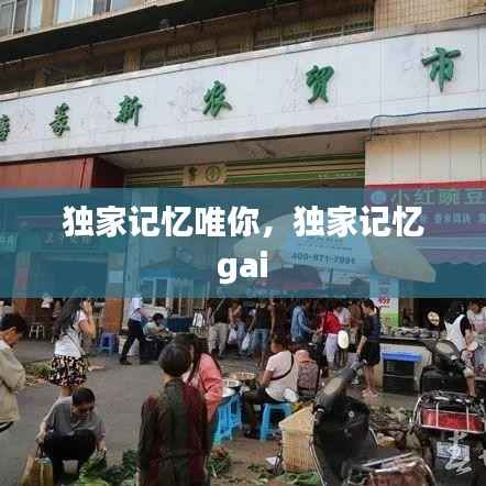 独家记忆唯你，独家记忆 gai 