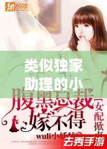 类似独家助理的小说，类似独家迷恋的小说 