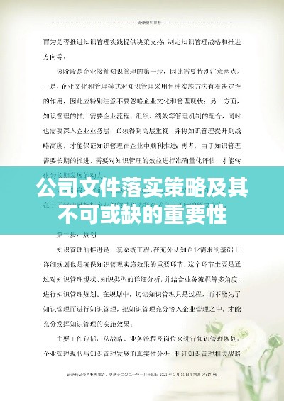 公司文件落实策略及其不可或缺的重要性