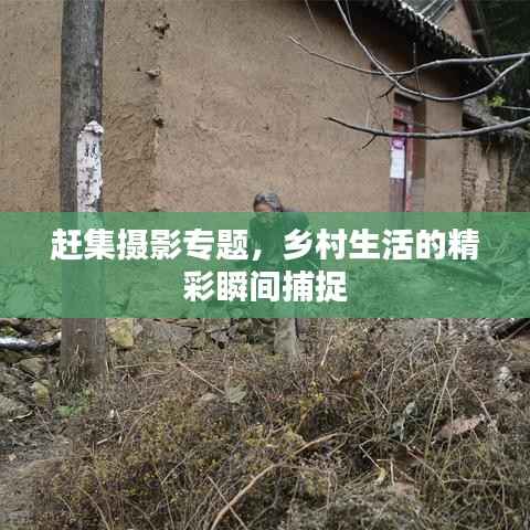 赶集摄影专题，乡村生活的精彩瞬间捕捉