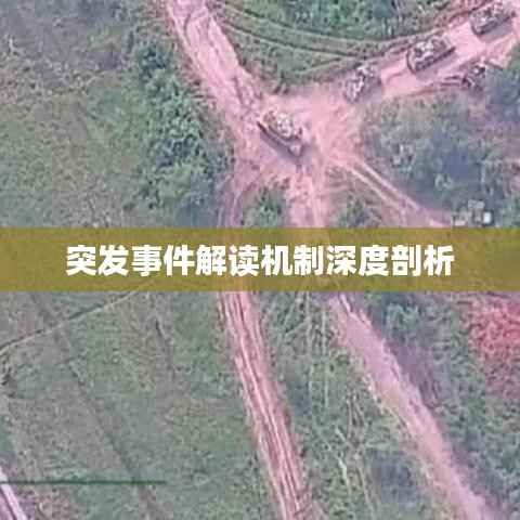 突发事件解读机制深度剖析