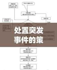 处置突发事件的策略概念及应用解析