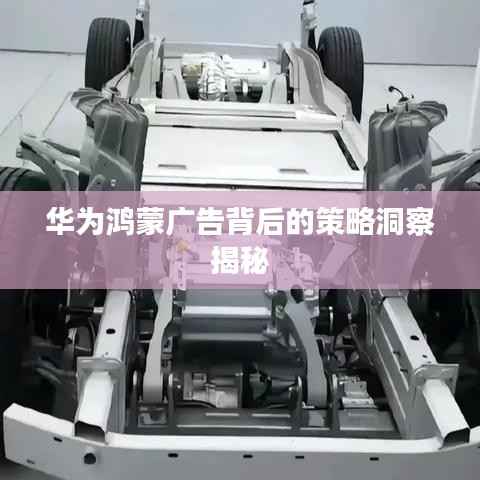 美轮美奂 第5页