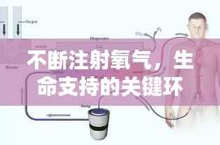 不断注射氧气，生命支持的关键环节