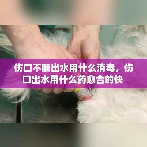 伤口不断出水用什么消毒，伤口出水用什么药愈合的快 