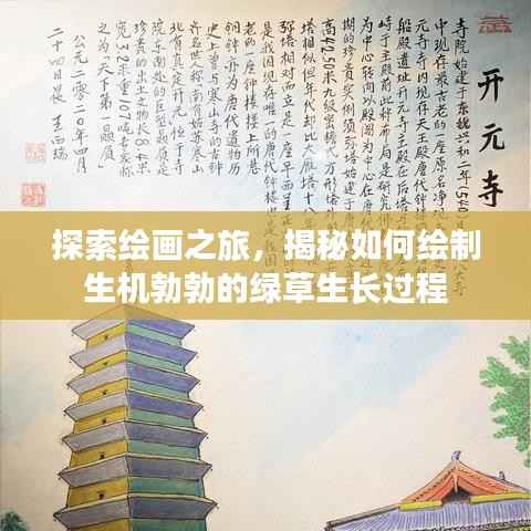 探索绘画之旅，揭秘如何绘制生机勃勃的绿草生长过程