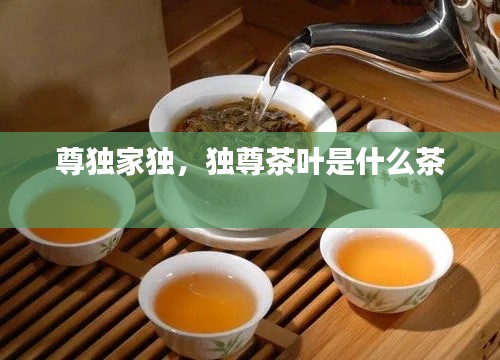 尊独家独，独尊茶叶是什么茶 