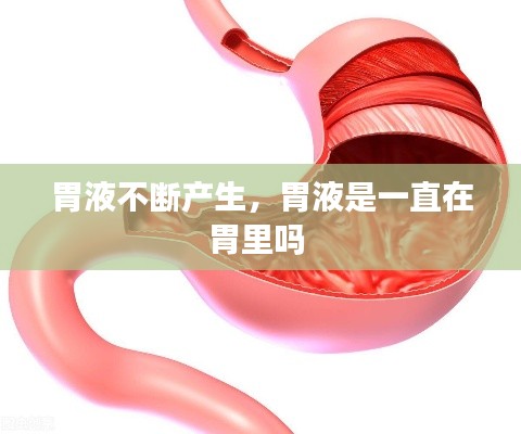 胃液不断产生，胃液是一直在胃里吗 