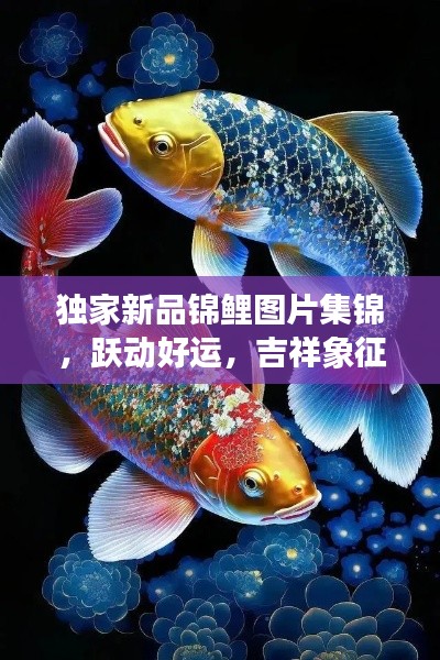 独家新品锦鲤图片集锦，跃动好运，吉祥象征全收录