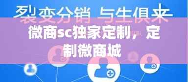 微商sc独家定制，定制微商城 