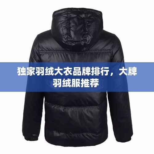 独家羽绒大衣品牌排行，大牌羽绒服推荐 