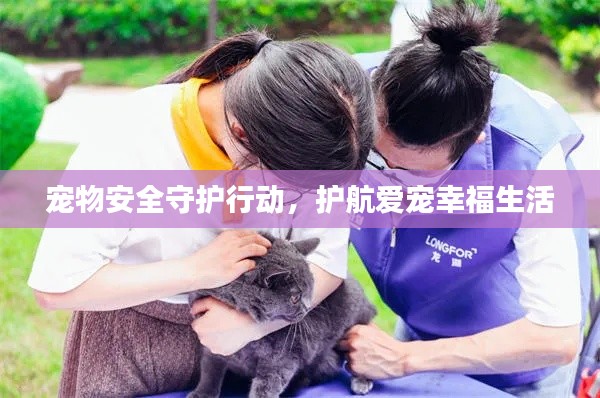 宠物安全守护行动，护航爱宠幸福生活