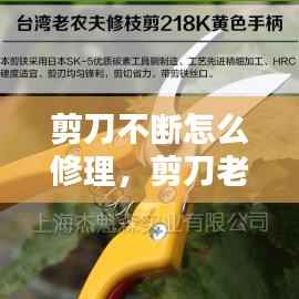 剪刀不断怎么修理，剪刀老是剪不断 
