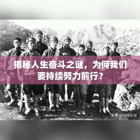 肝胆相照 第5页