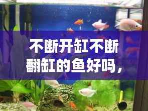 贵人善忘 第4页