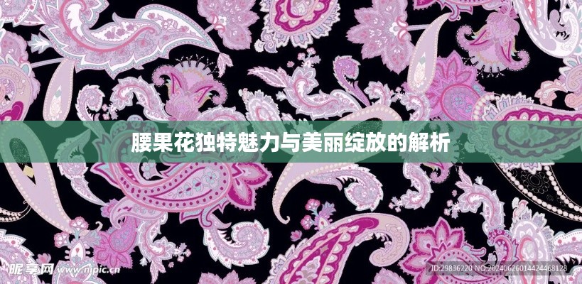 腰果花独特魅力与美丽绽放的解析