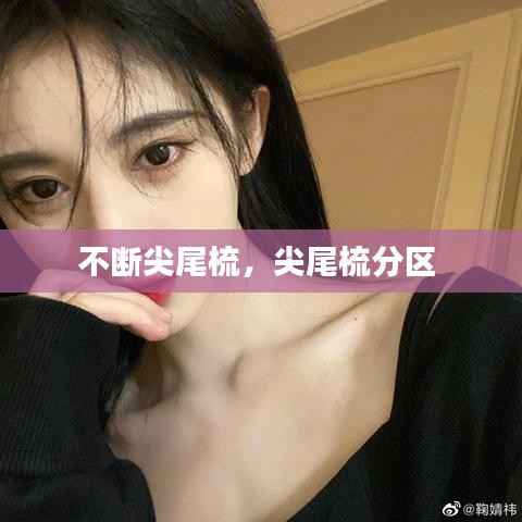 不断尖尾梳，尖尾梳分区 