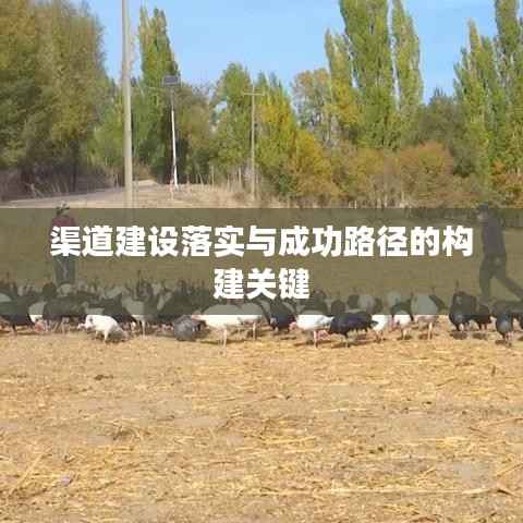 渠道建设落实与成功路径的构建关键