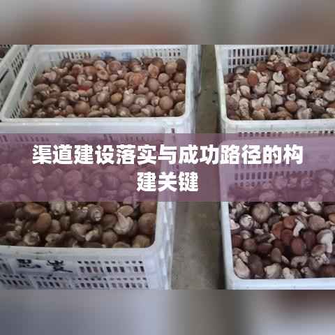 渠道建设落实与成功路径的构建关键