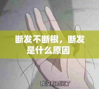 断发不断根，断发是什么原因 