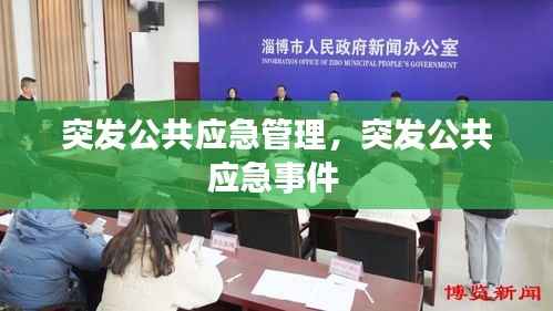 突发公共应急管理，突发公共应急事件 