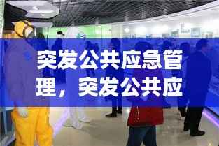 突发公共应急管理,突发公共应急事件