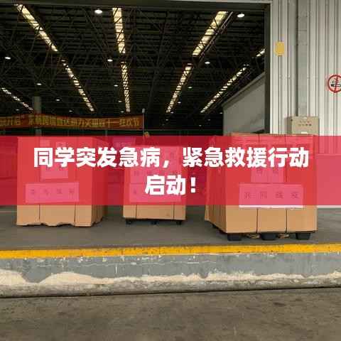 同学突发急病,紧急救援行动启动!