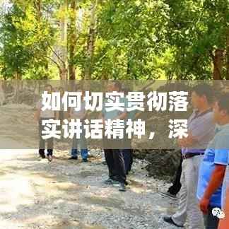 如何切实贯彻落实讲话精神，深度解读与实践指南