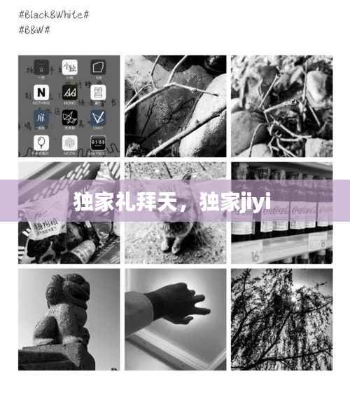 独家礼拜天，独家jiyi 