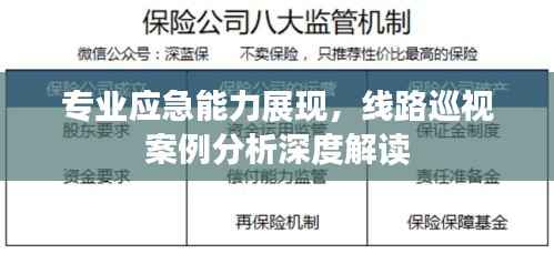 专业应急能力展现，线路巡视案例分析深度解读