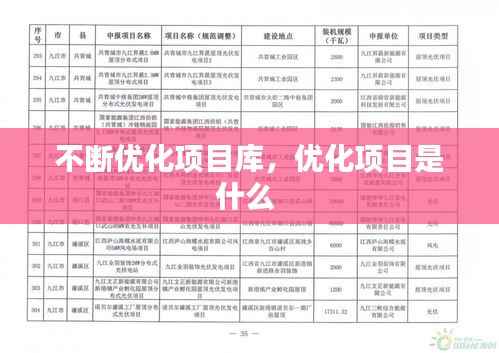 不断优化项目库，优化项目是什么 