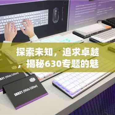 探索未知，追求卓越，揭秘630专题的魅力所在