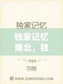 独家记忆南北，独家记忆原版小说 