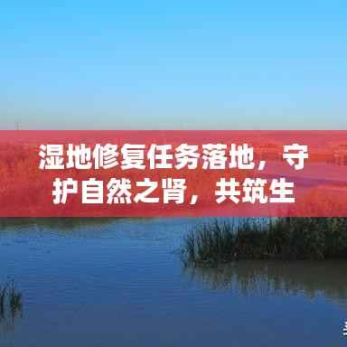 湿地修复任务落地，守护自然之肾，共筑生态家园