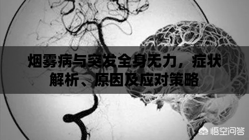 一席之地 第5页