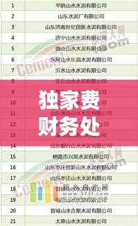 独家费财务处理策略、实践及优化建议全解析
