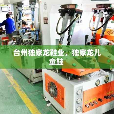 台州独家龙鞋业，独家龙儿童鞋 