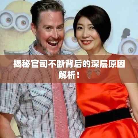 揭秘官司不断背后的深层原因解析！