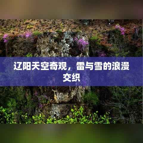 辽阳天空奇观，雷与雪的浪漫交织