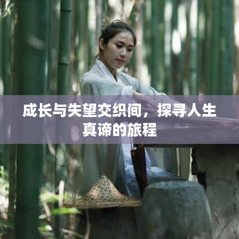 成长与失望交织间,探寻人生真谛的旅程