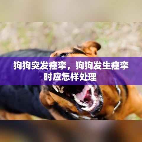 狗狗突发痉挛,狗狗发生痉挛时应怎样处理