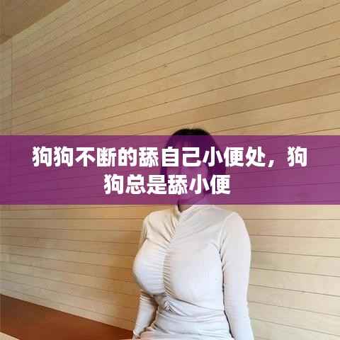 南辕北辙 第5页