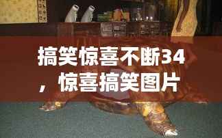 搞笑惊喜不断34，惊喜搞笑图片 