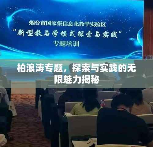 柏浪涛专题，探索与实践的无限魅力揭秘