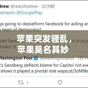 富贵功名 第4页