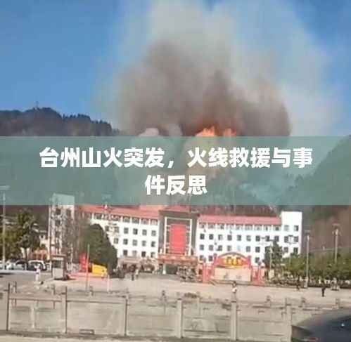 台州山火突发，火线救援与事件反思