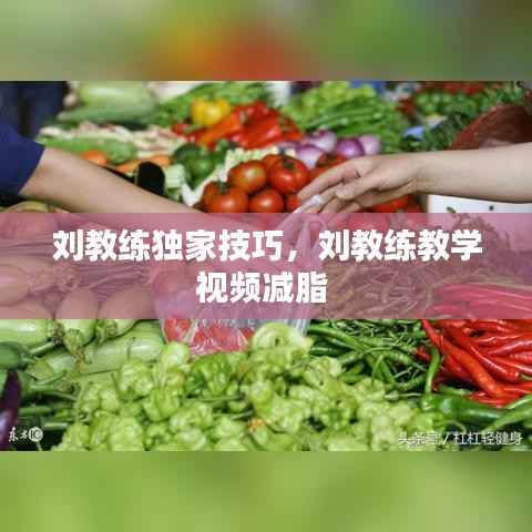 刘教练独家技巧，刘教练教学视频减脂 