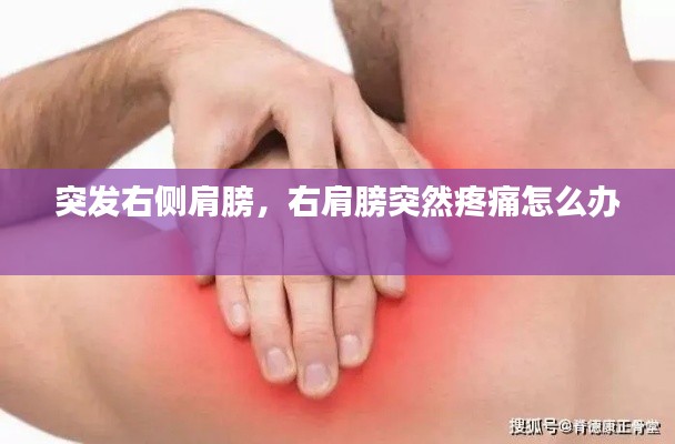 突发右侧肩膀，右肩膀突然疼痛怎么办 