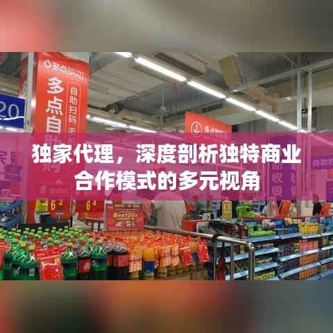 独家代理，深度剖析独特商业合作模式的多元视角